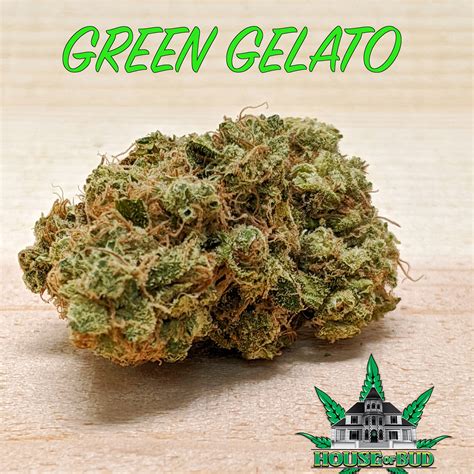 The effects of Black Cherry Gelato are more calming than energizing. . Gelato leafly